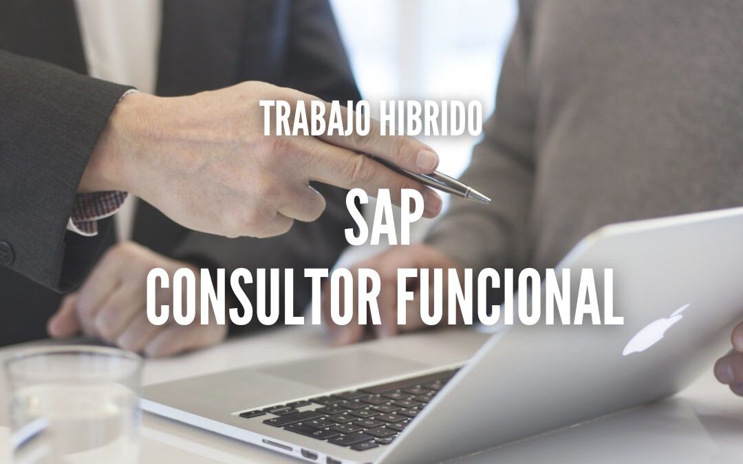 Consultor Funcional SAP Business One Hana